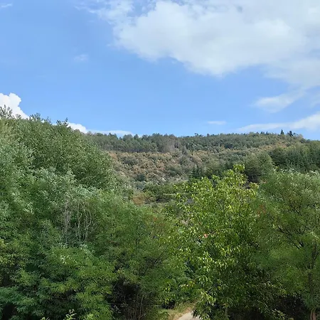 Royal Blue River Pearl *