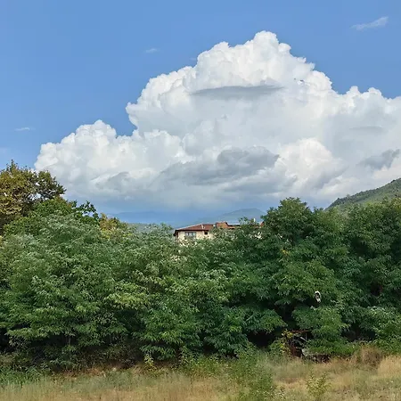 Apartmán Royal Blue River Pearl *