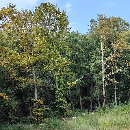 Apartmán Royal Blue River Pearl Sandanski