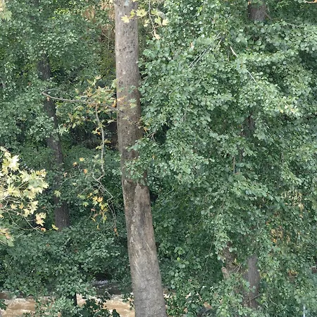 Royal Blue River Pearl Σαντάνσκι